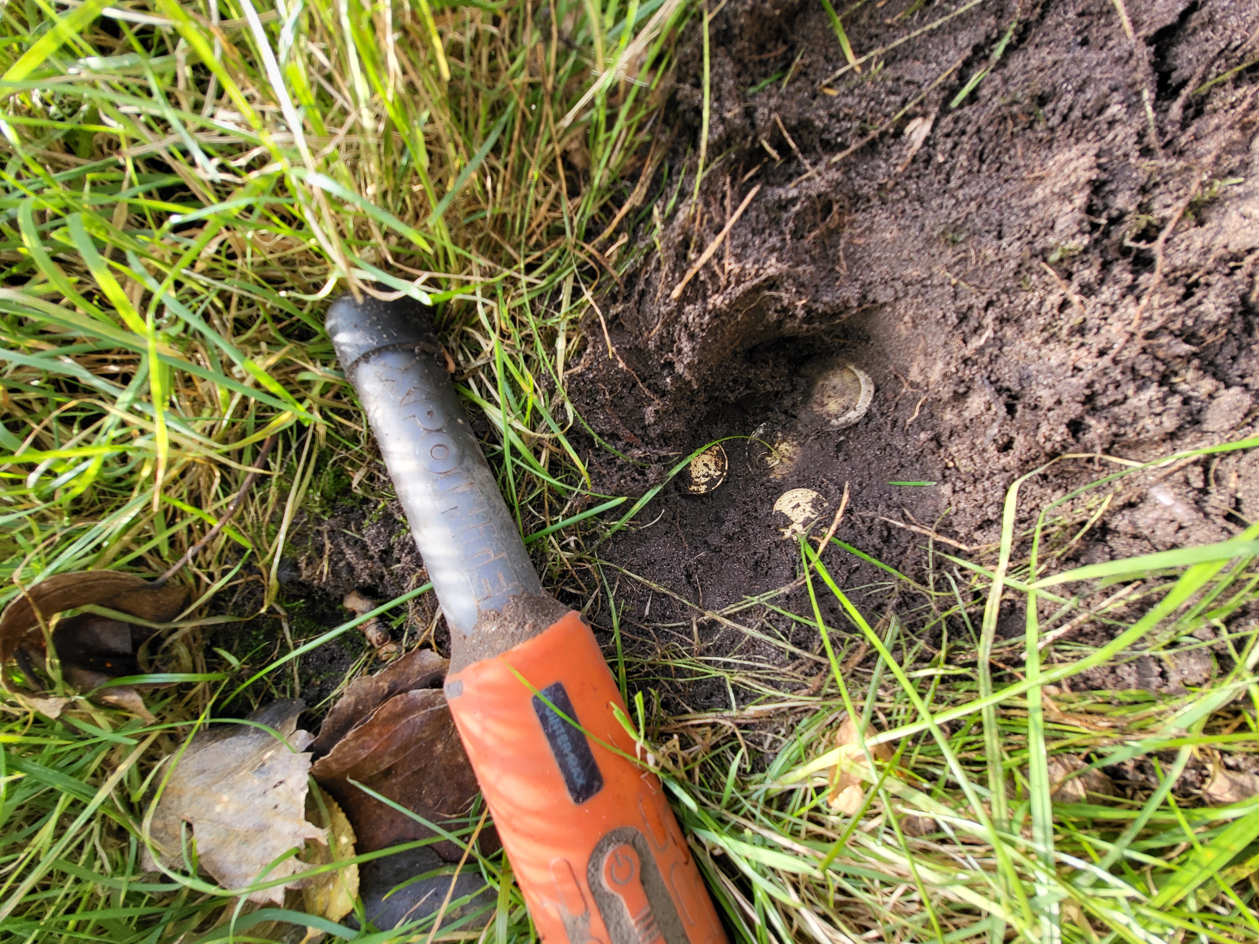 Metalldetektor Pinpointer Eheringe Hamburg Auftragssuche