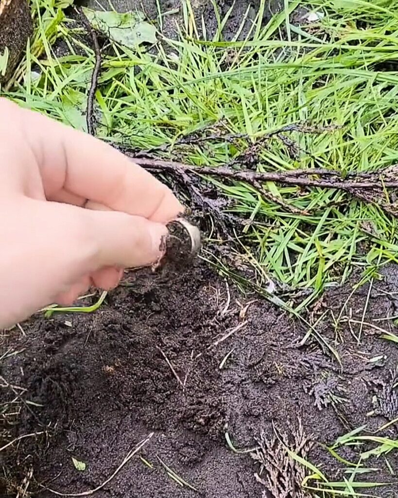 Ehering im Park verloren verloren Neuallermöhe