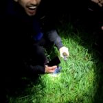 wiese autoschlüssel gefunden acker