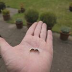 Garten Wiese Gold-Ohrring Hand
