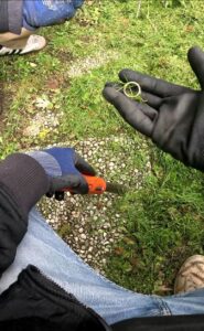 ehering rasen handy metalldetektor